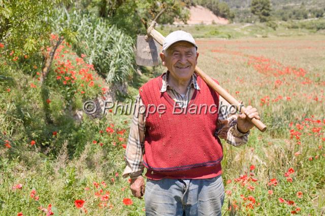espagne catalogne 24.JPG - Agriculteur traditionnelLa route CistercienneCatalogne, Espagne